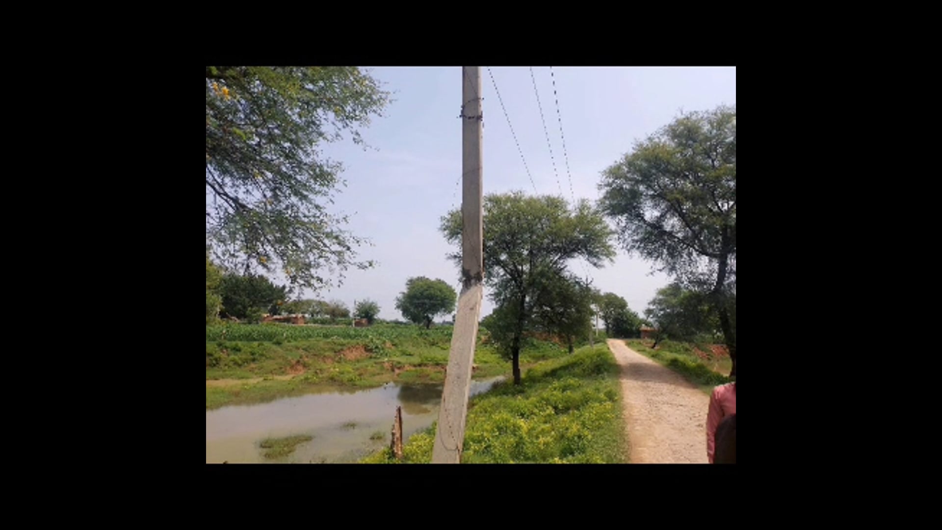 MANT-शिकायतों के बाद भी नहीं जागा बिजली विभाग, खतरे में राहगीर और, स्कूली बसें,,