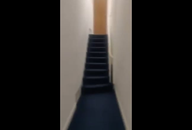 Video 1: 
