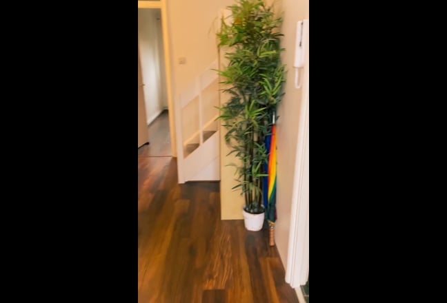 Female Houseshare in beautiful Hackney Flat  Main Photo