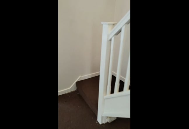 Video 1: 