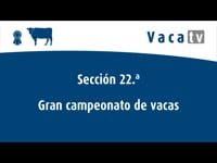 Sección 22. Vaca gran campeona de Asturias