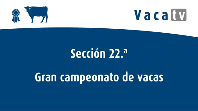 Sección 22. Vaca gran campiona de Asturias