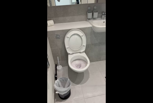 Modern Ensuite | Canning Town | Bills Included Main Photo