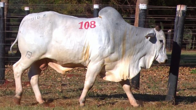 Lote 108