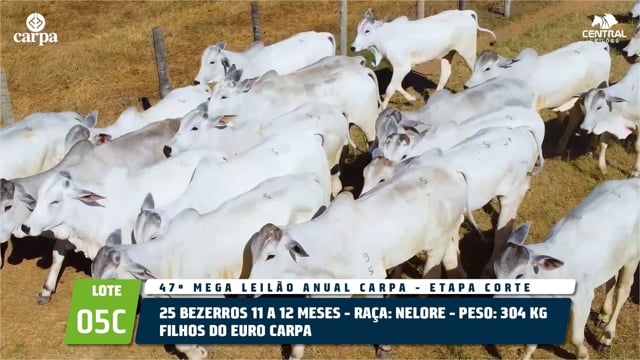 Lote 05C