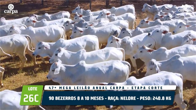 Lote 26C