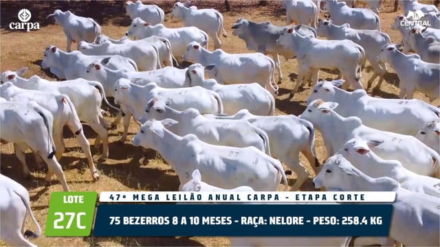 Lote 27C