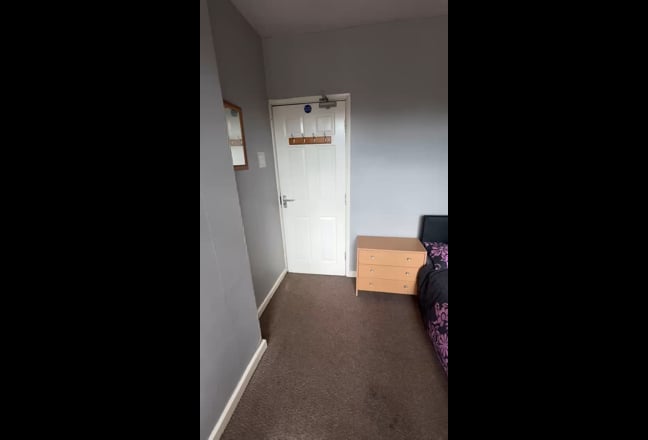 Pleasant Household, all bills included Main Photo