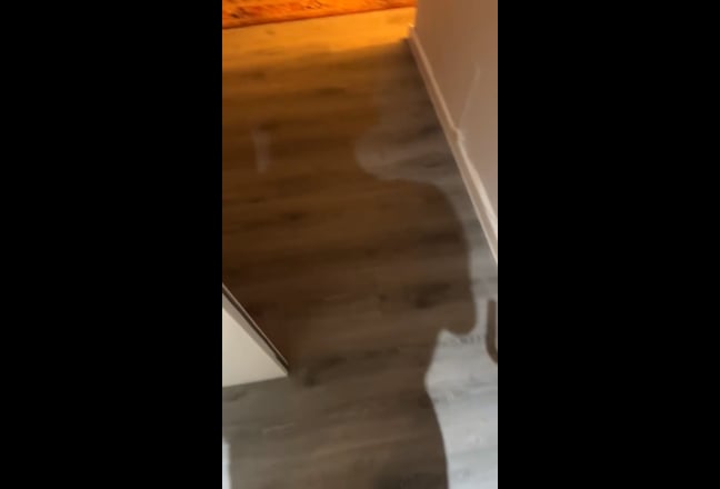 Video 1: 