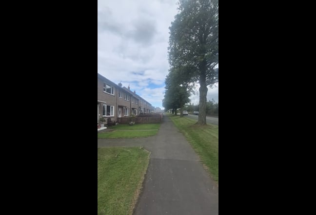 Video 1: 