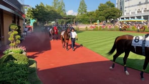 動画サムネイル