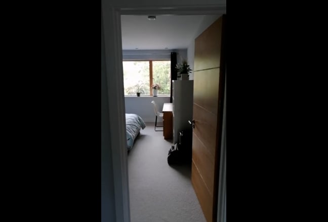Video 1: 