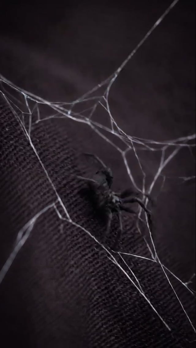 SpiderMan Mcd Commercial