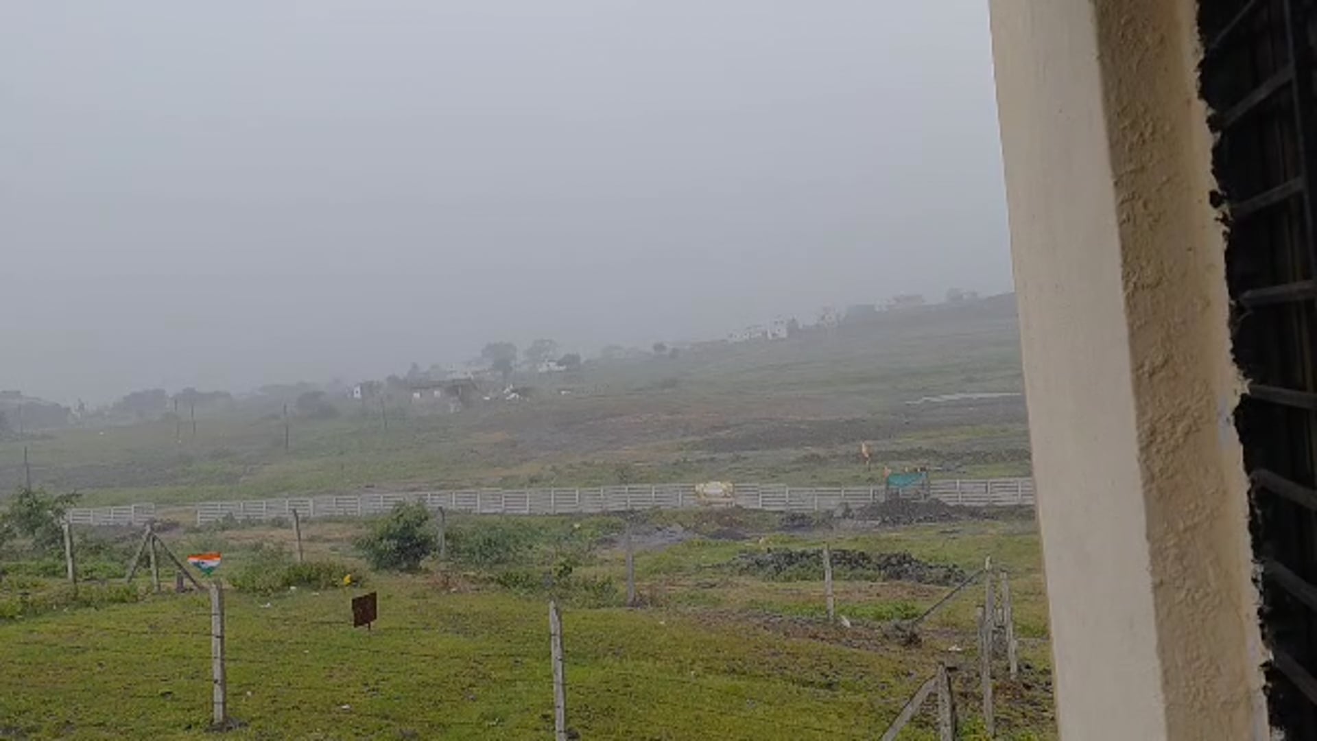 उदगीर शहरासह परिसरात पाऊस पिकांना नवसंजीवनी,मात्र दमदार पावसाची प्रतीक्षा कायम