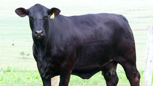 Lote E03A / E03B