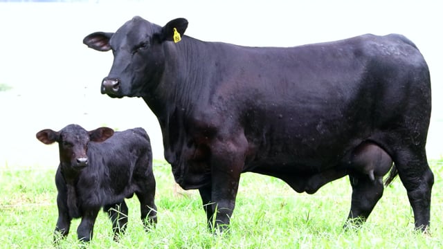 Lote E04A / E04B