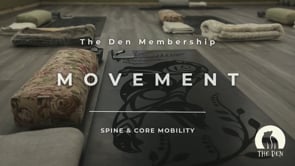 Related Embedded Video Item Thumbnail