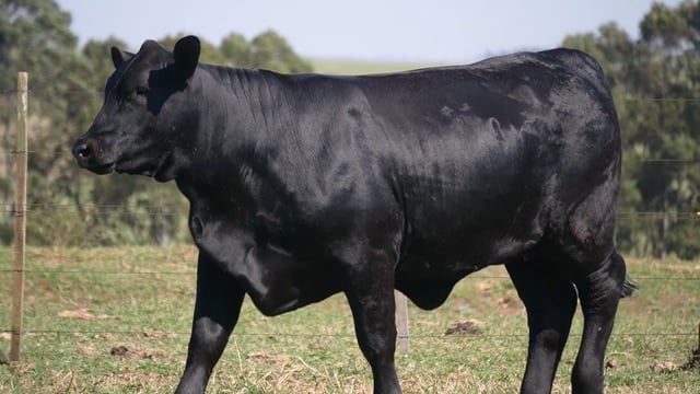 Lote 05A / 05B
