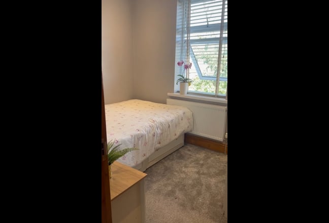 New Double Room &pound;700 per month- including bills  Main Photo