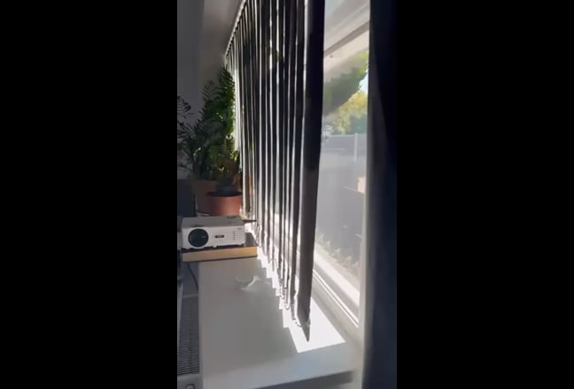 Video 1: 