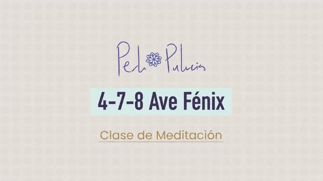 4-7-8 Ave Fénix