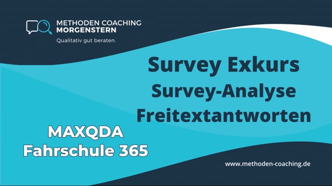 Survey-Analyse | 2. Freitextantworten (offene Fragen) codieren