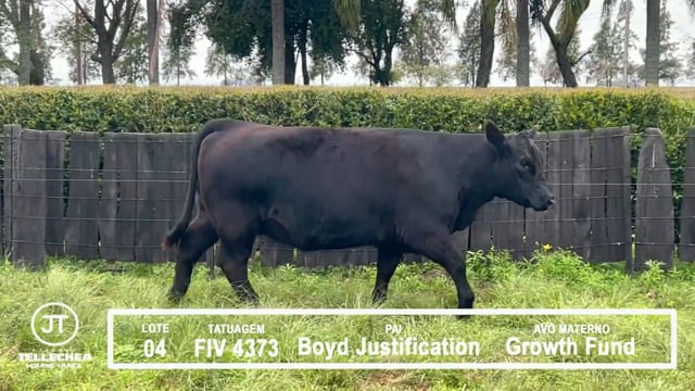 Lote 04