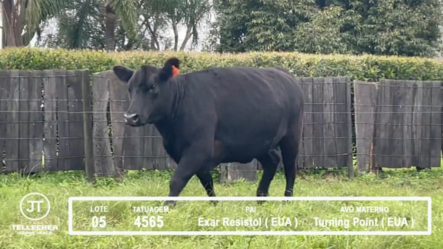 Lote 05