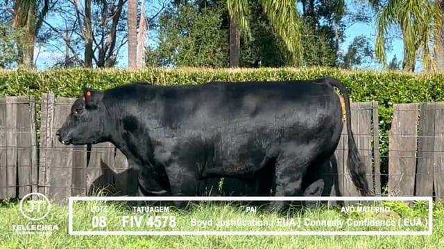 Lote 08