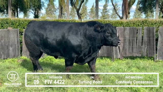 Lote 09