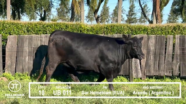 Lote 10