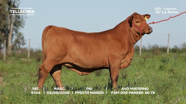 Lote 23