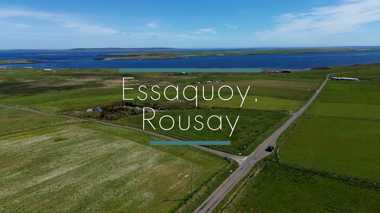 Essaquoy - full video