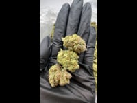 FullSizeRender