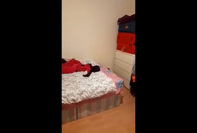 Video 1: 