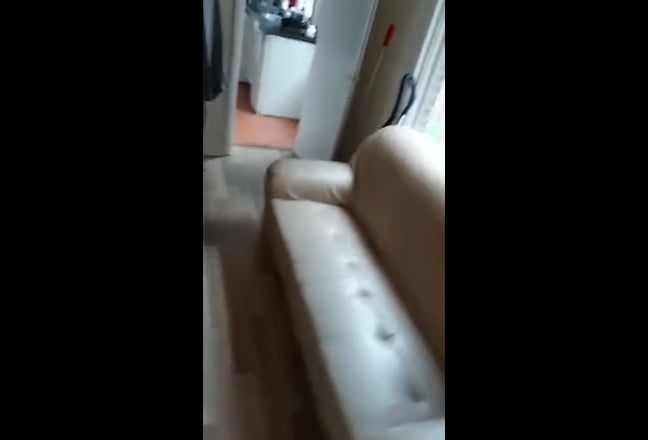 Video 1: 