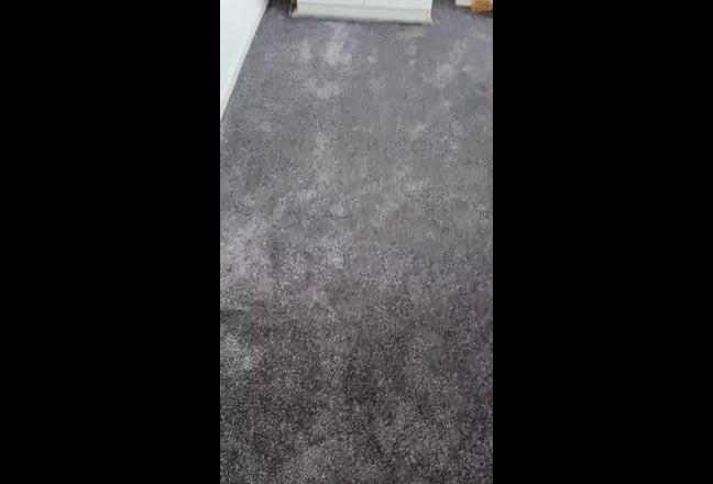 Video 1: 