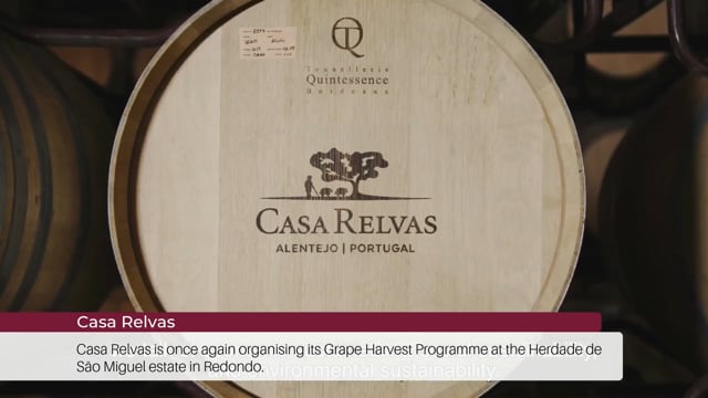 EP 102 | Wine Tourism News