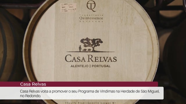 EP 102 | Not&iacute;cias do Enoturismo