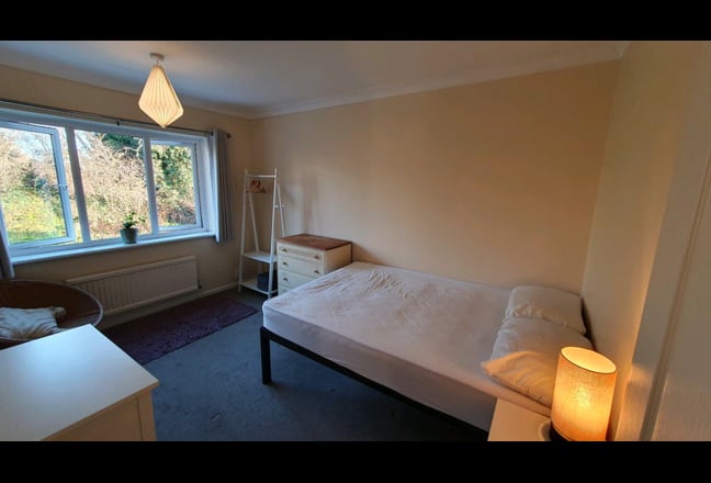Lovely single room  available! Main Photo