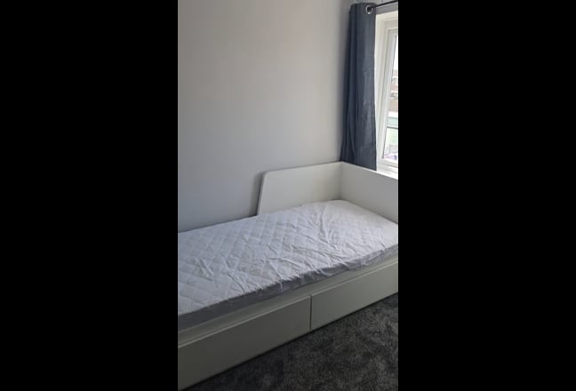 Video 1: Front
