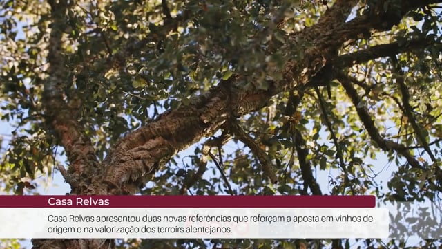 EP 106 | Not&iacute;cias do Enoturismo