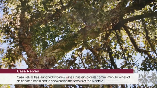 EP 106 | Wine Tourism News