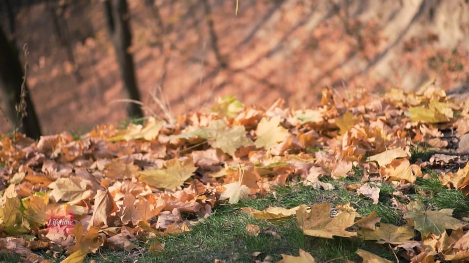 From Backpacks to Backups: A Cyber-Safe Start to Fall