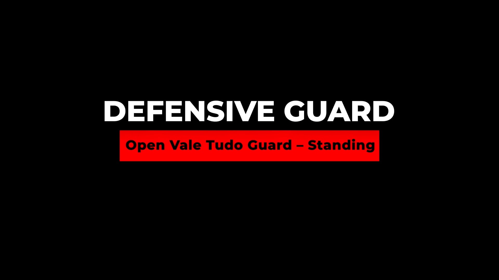 5. Open Vale Tudo Guard - Standing