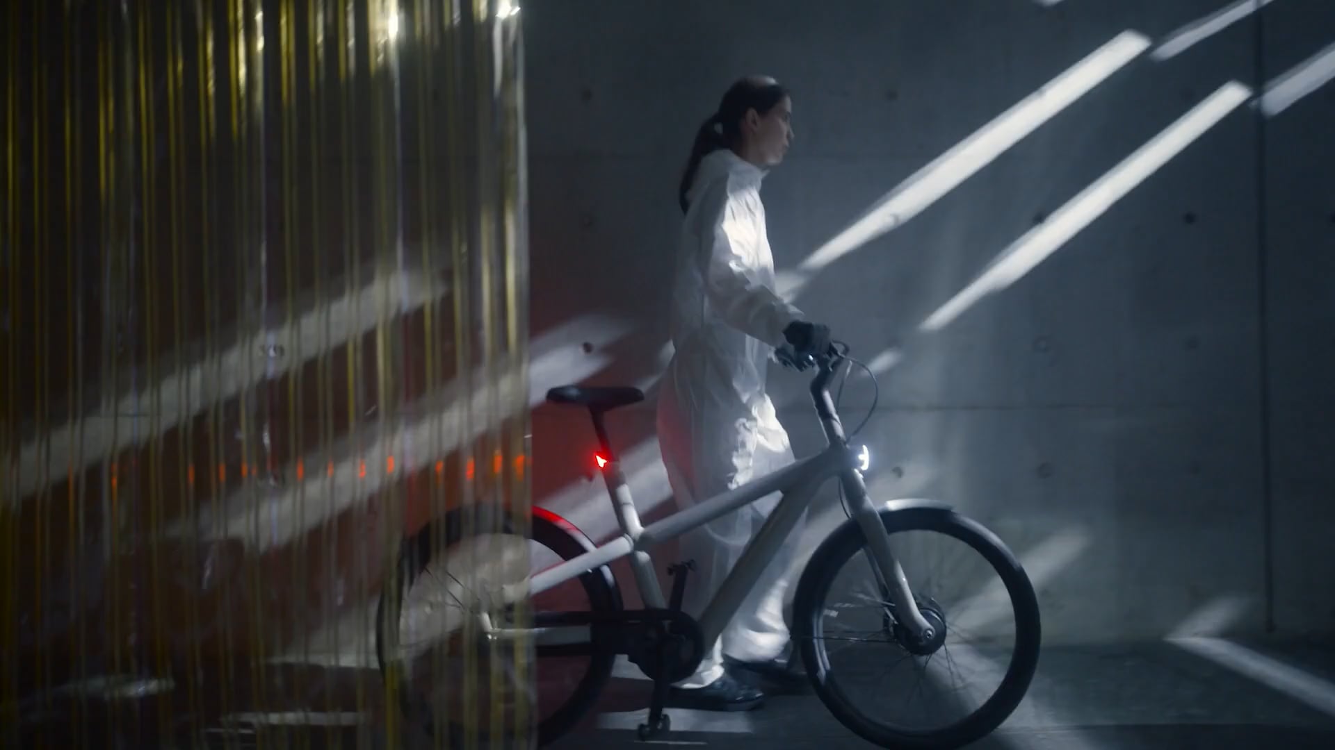Vanmoof Dust
