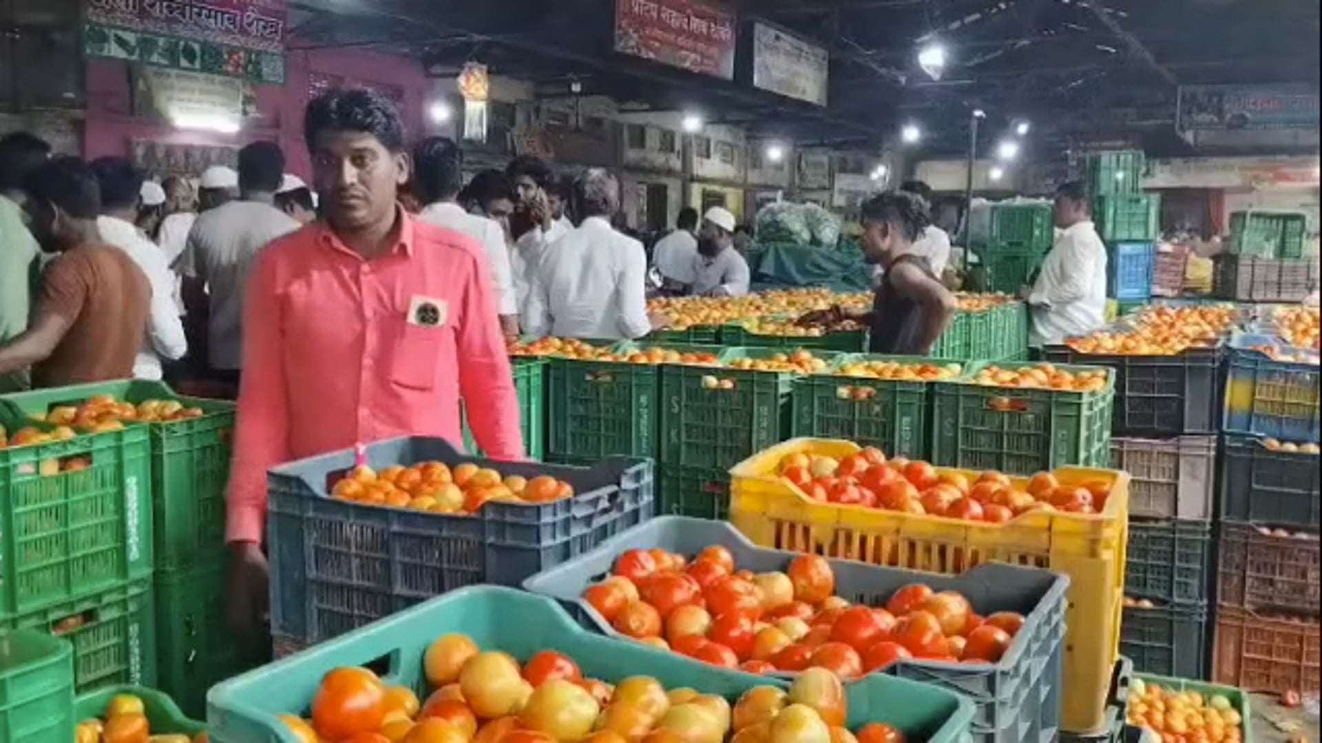 लाखोंचे कर्ज,टँकरने पाणी,टोमॅटोला कवडीमोल भाव,शेतकरी हताश