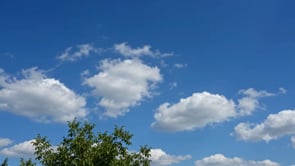 sample_videos_1