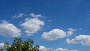 sample_videos_3