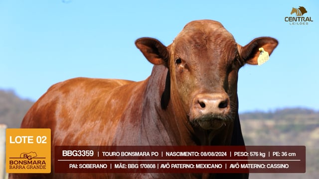 Lote 02